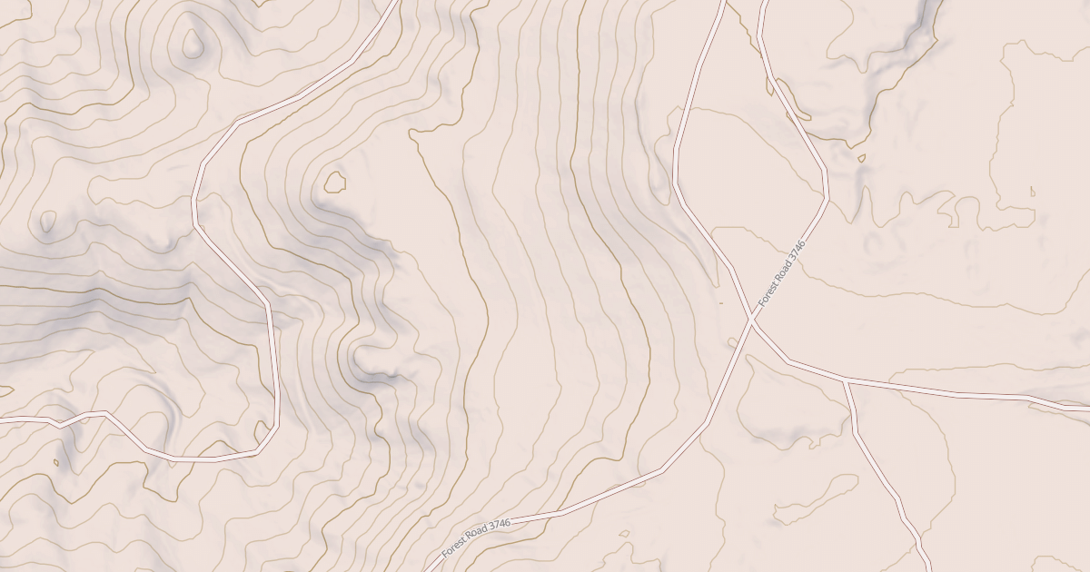 Map preview of USFS National Forest System Roads {170978F0-751F-4ECF-9AA5-1D7F04768A1E}