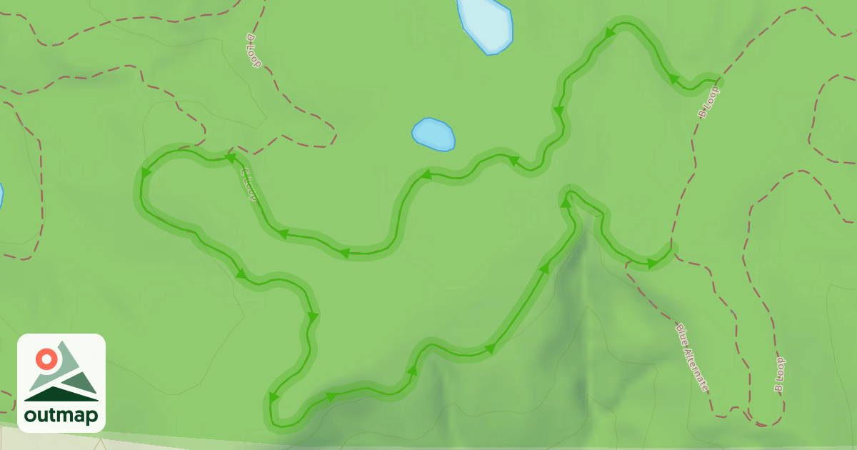 Map of C Loop