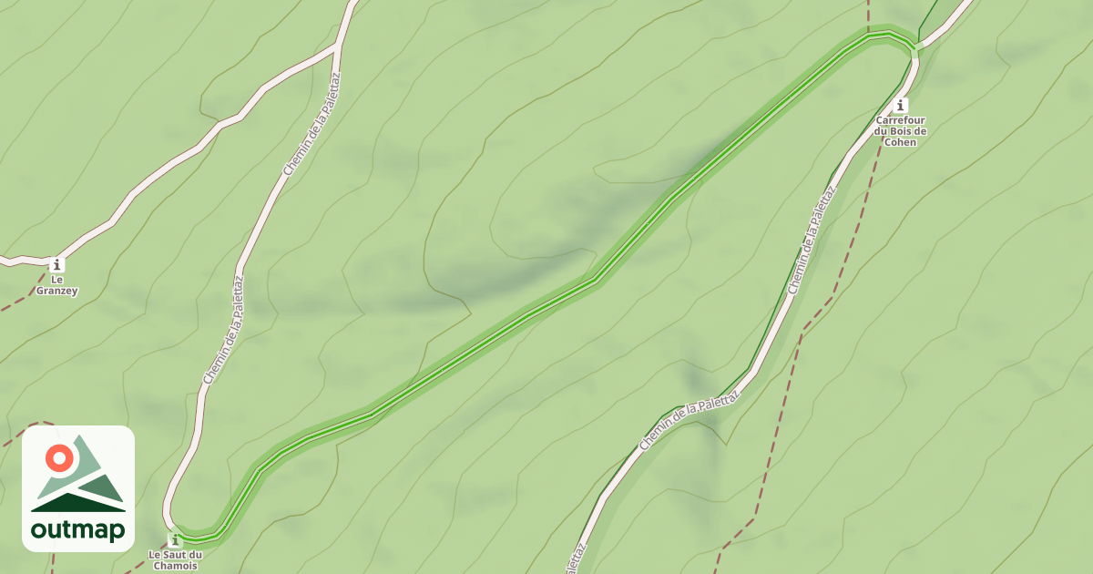 Map of Chemin de la Palettaz