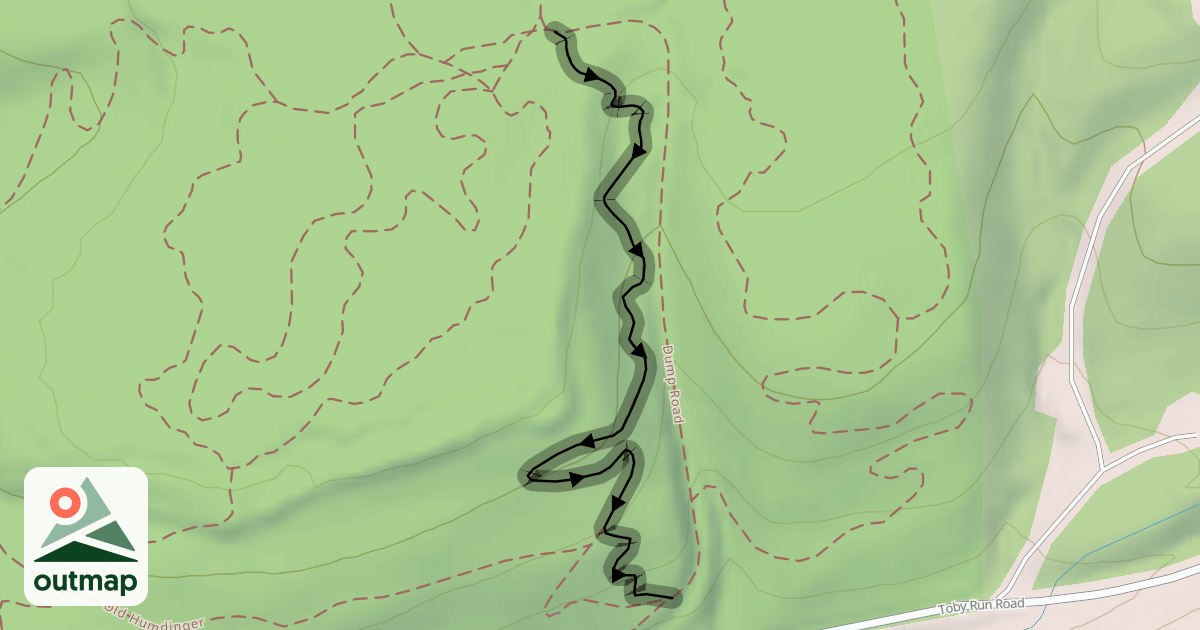 Map of Bullet Baby