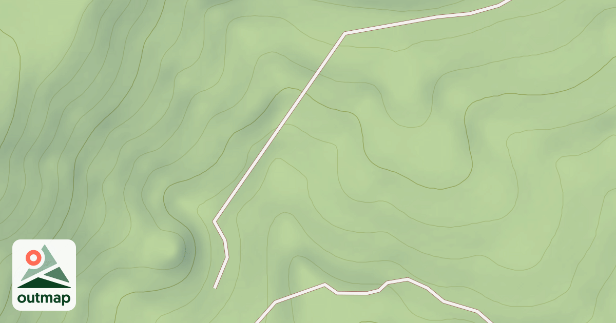 Map of USFS Motor Vehicle Use Map Roads {25C29C99-05C6-4882-A637-33116CFD3B51}