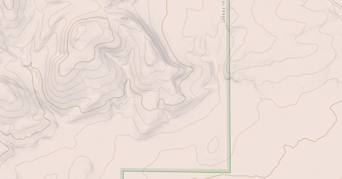 Map preview of USFS Motor Vehicle Use Map Roads {21FF94ED-44B1-4981-8930-5037959CABD3}
