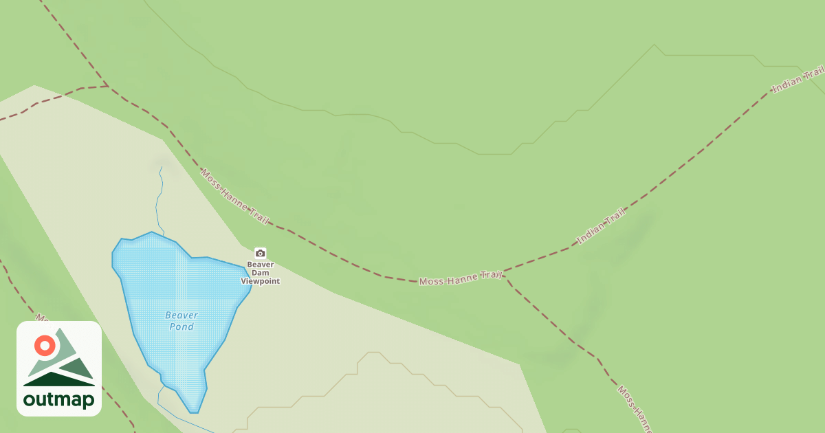 Map of Black Moshannon State Park Trails