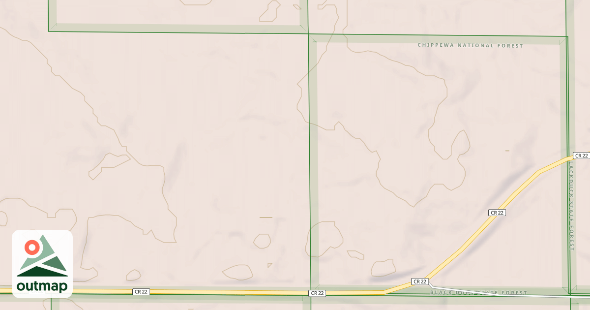 Map of TURTLE RIVER LAKE ROAD SPUR C