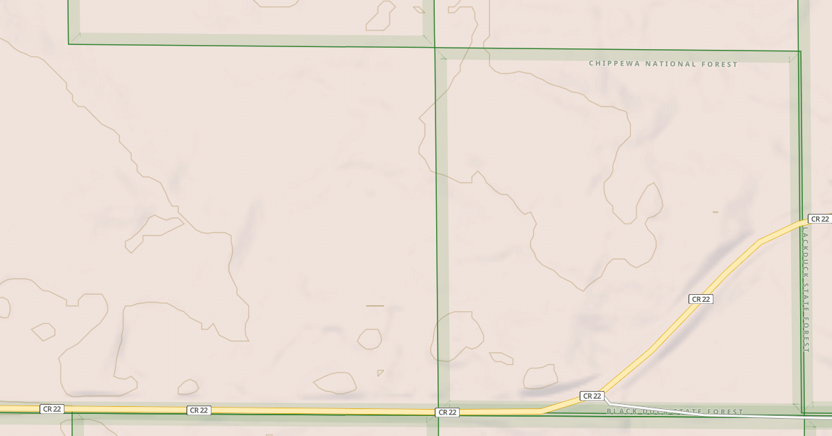 Map preview of TURTLE RIVER LAKE ROAD SPUR C