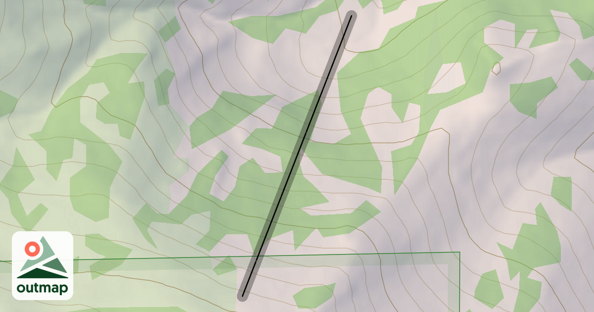 Map of The Jungle
