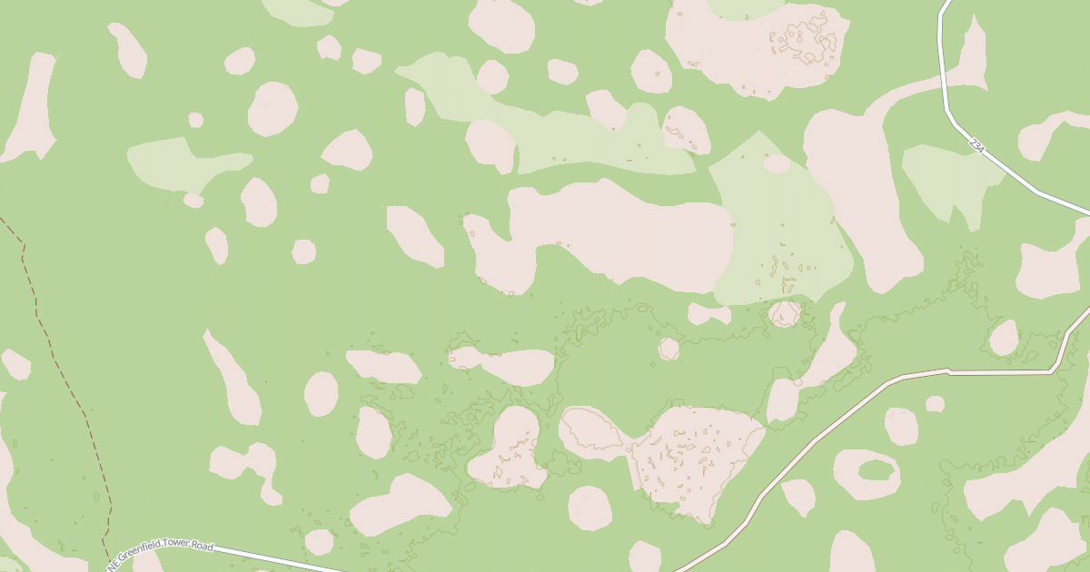 Map preview of USFS National Forest System Roads {C5725974-CBA3-4906-B9FE-568DA59389F6}