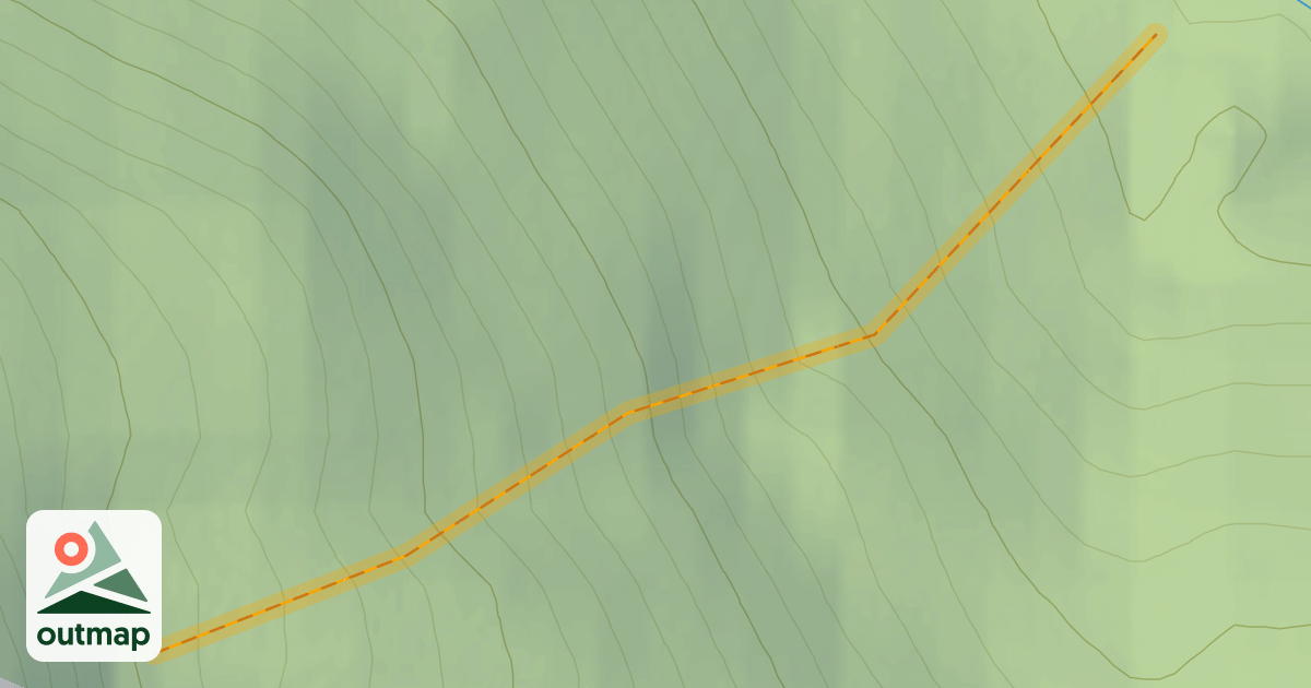 Map of Blind Faith