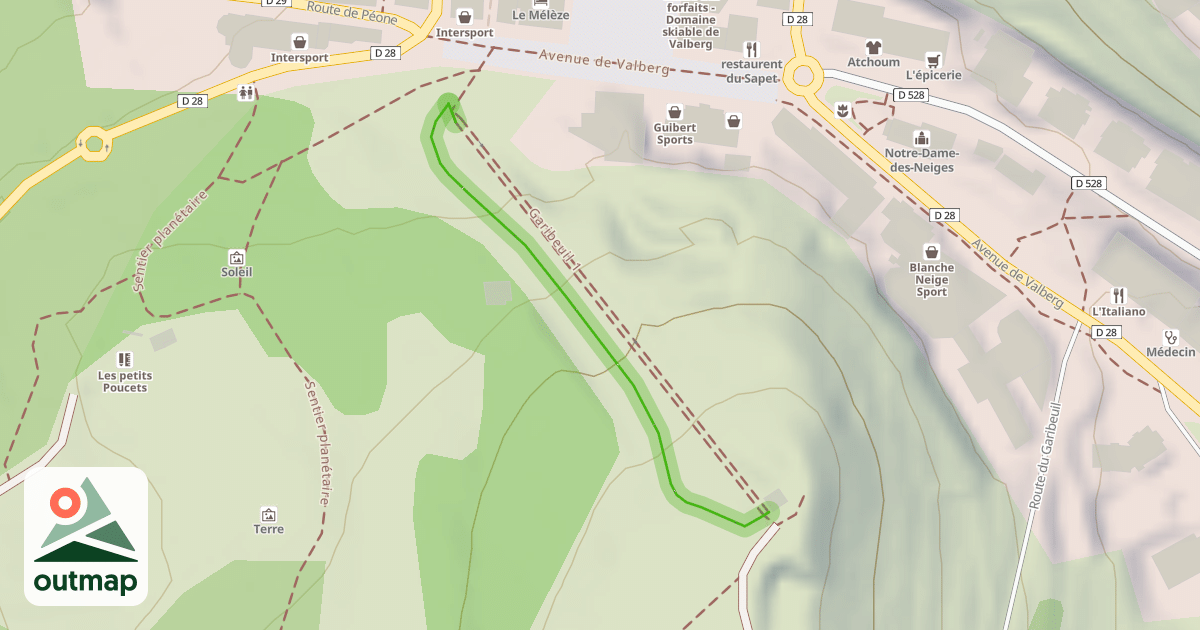 Map of Myosotis