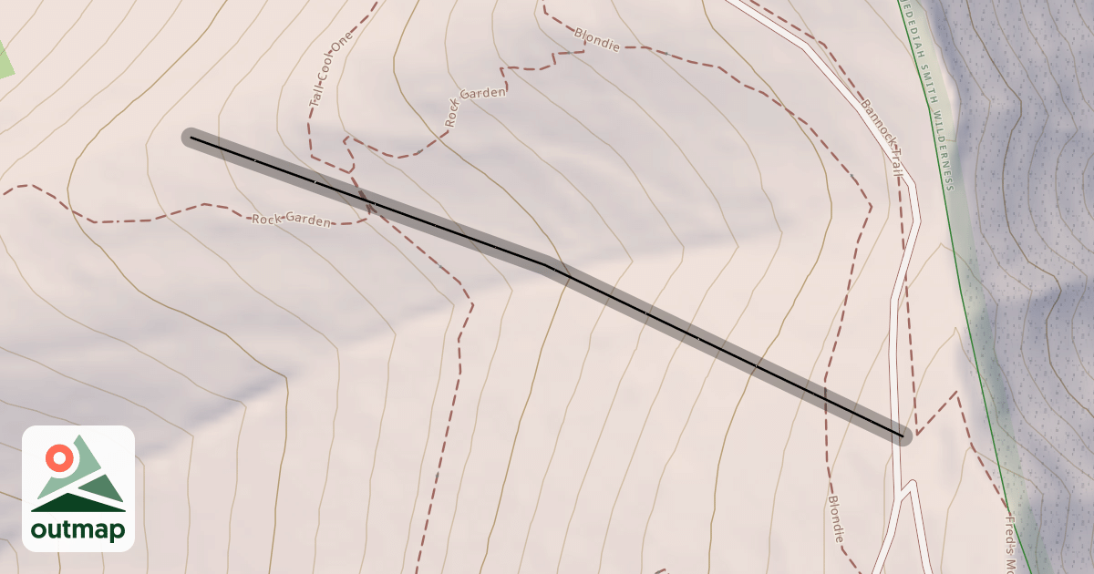 Map of The Face