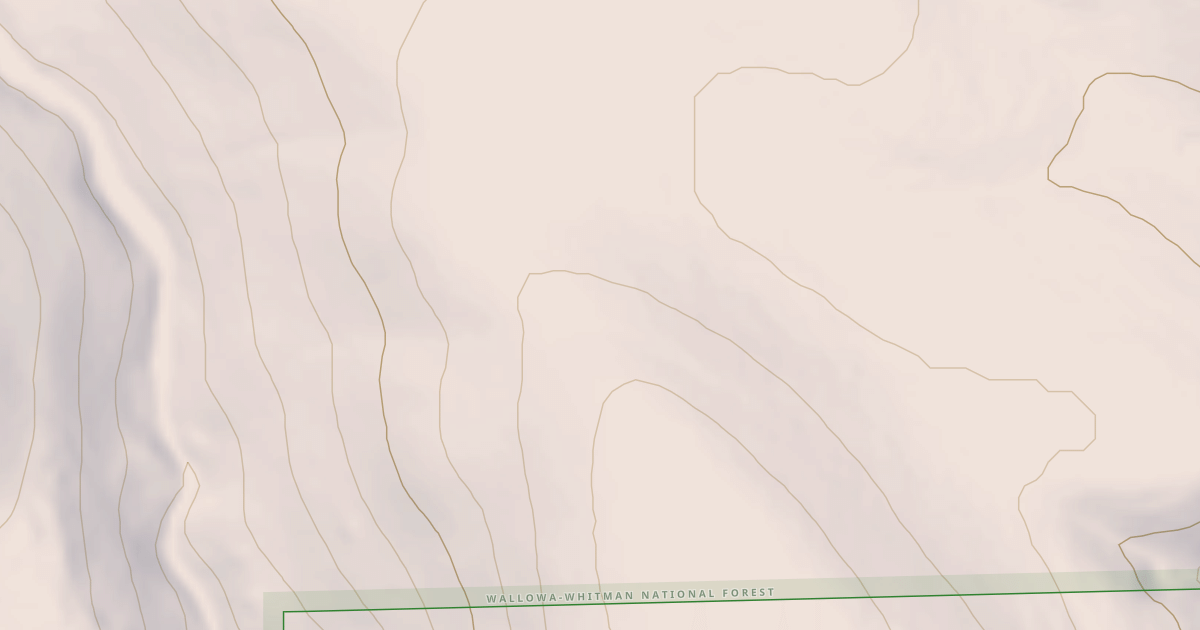 Map preview of USFS National Forest System Roads {3A308D2E-5E9C-44FD-959A-87684D2C4991}