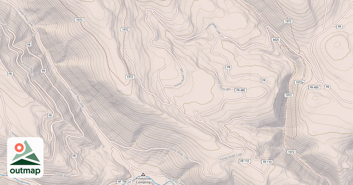 Map of USFS National Forest System Roads {359AE07F-8019-4DCA-8D54-12925E376483}