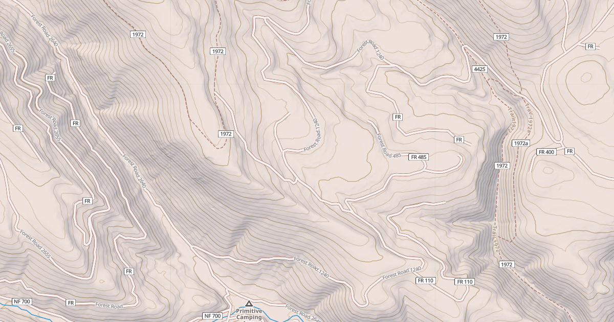 Map preview of USFS National Forest System Roads {359AE07F-8019-4DCA-8D54-12925E376483}