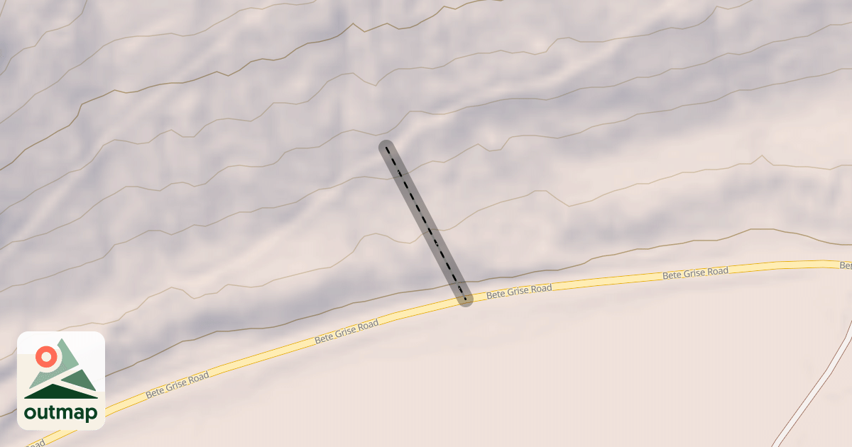 Map of Meteor