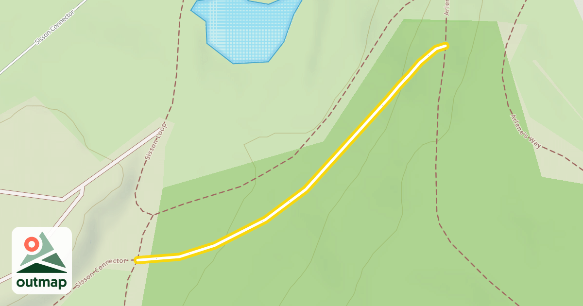 Map of Arlene's Way