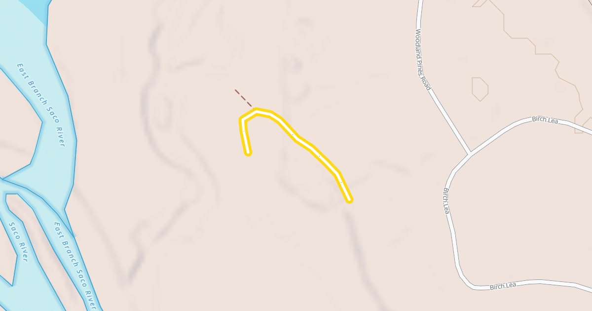 Map preview of Lower East Branch Trail