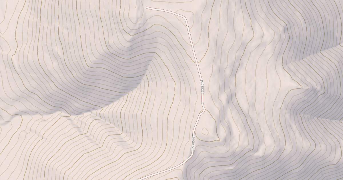 Map preview of USFS National Forest System Roads {CF8DA1EB-1C99-4330-BF3C-0F13CFA50C5C}