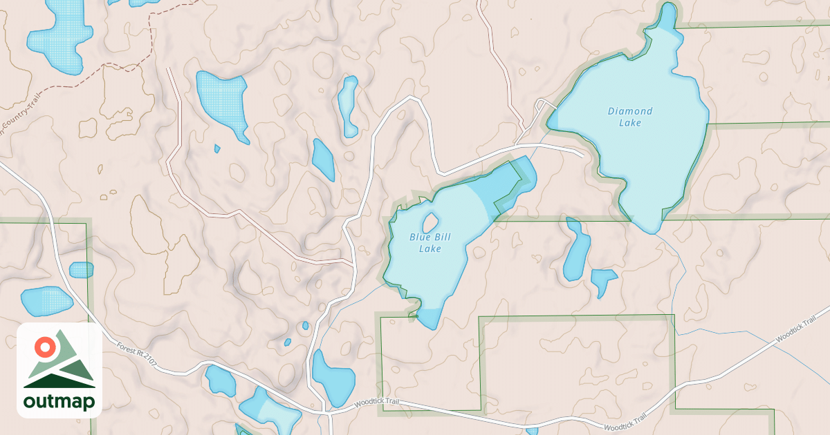 Map of BLUE BILL LAKE ROAD