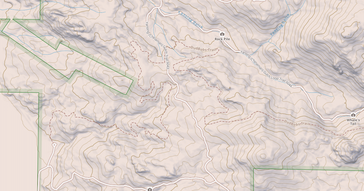 Map preview of BLM National GTLF Public Motorized Roads 015532c5-3f76-4c75-9a7e-7a683485f11d