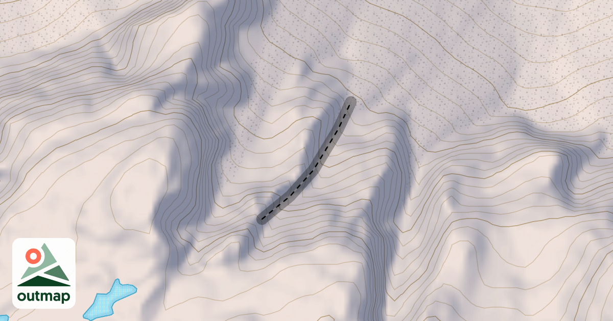 Map of Skinny Tree