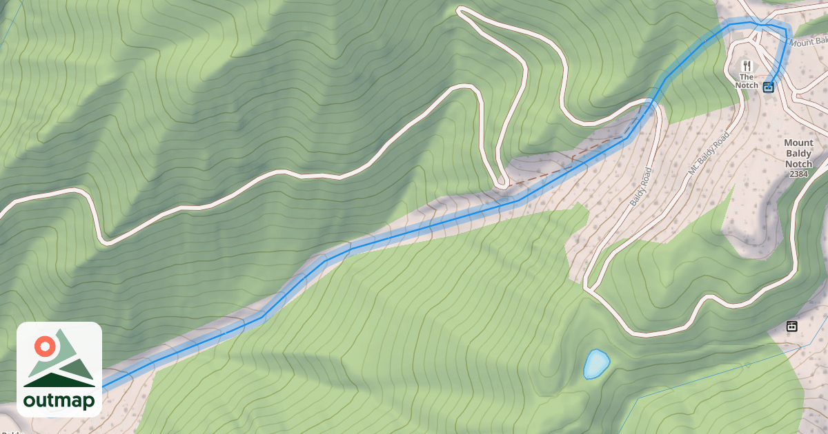Map of Bifurcate