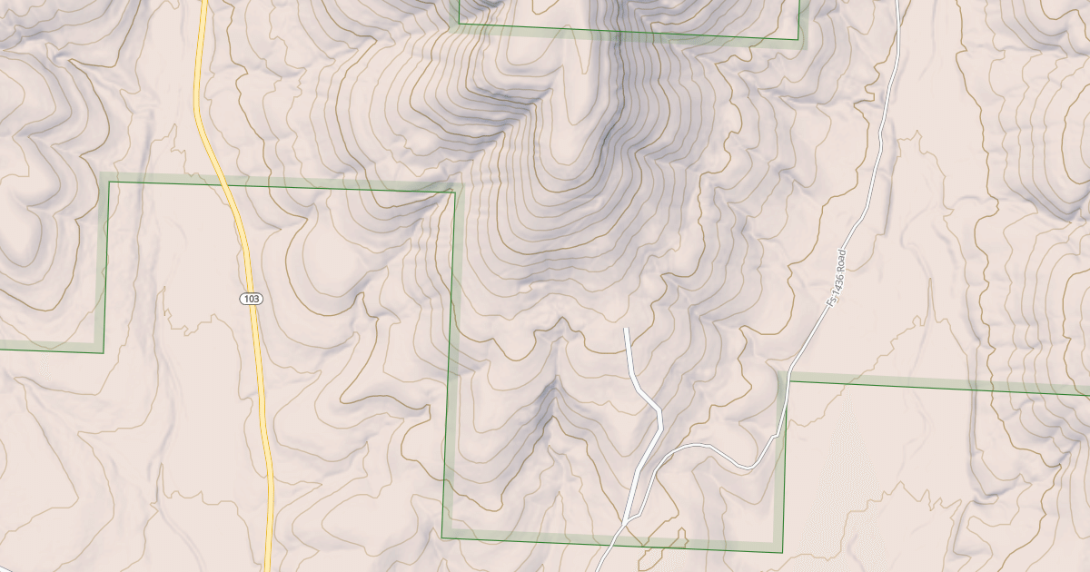 Map preview of USFS Motor Vehicle Use Map Roads {1C31624F-1002-4DC4-8F67-0BC9855CAB16}