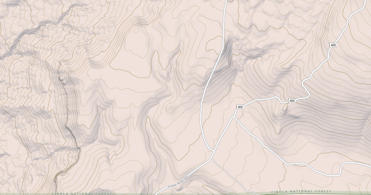 Map preview of USFS Motor Vehicle Use Map Roads {035098E6-0A87-4D3E-9608-156B1623557E}