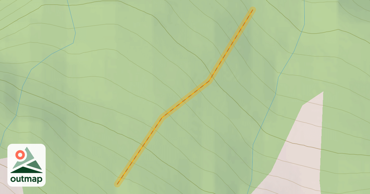 Map of Bonney Trees