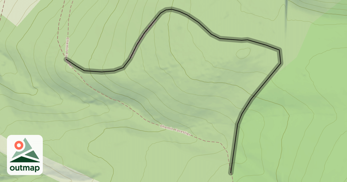 Map of Chemin du Bois de Bailet