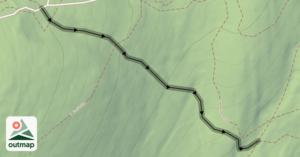 Map of 2B Foncemonga