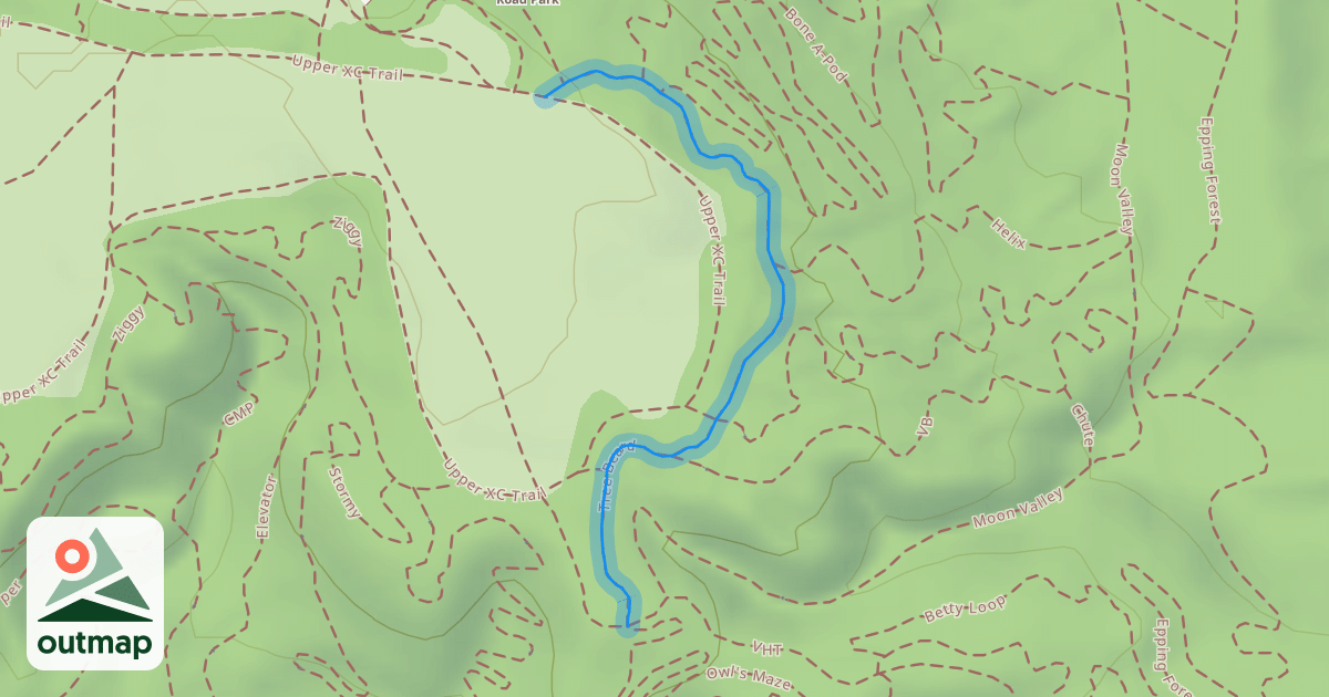 Map of Tree Beard