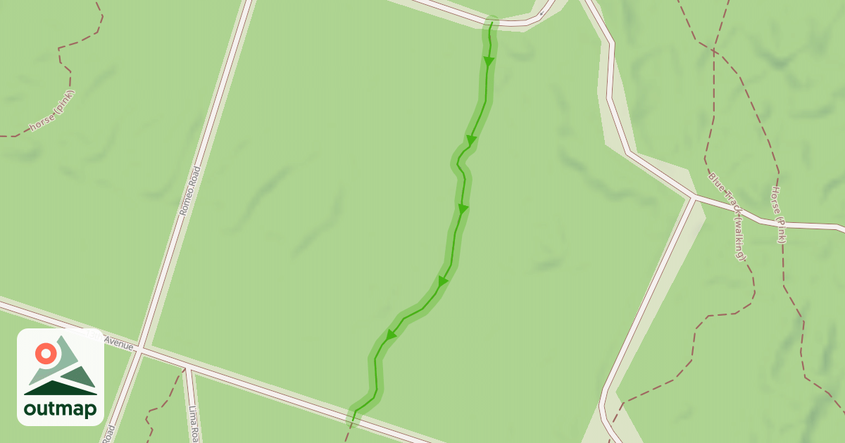 Map of Brown (MTB track)