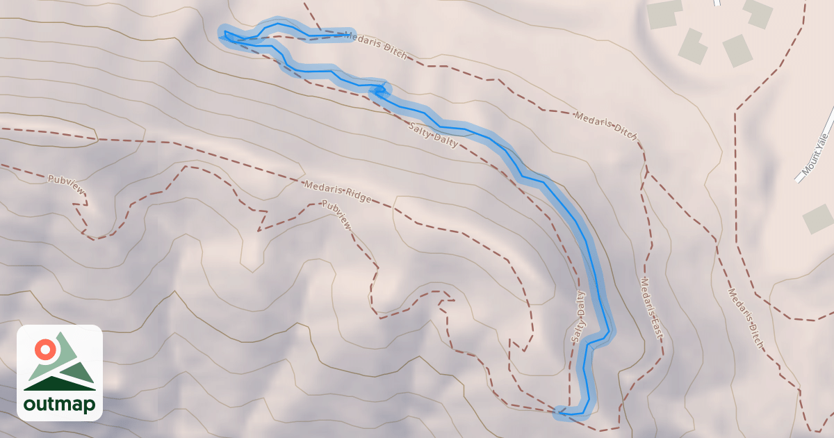 Map of Salty Dalty