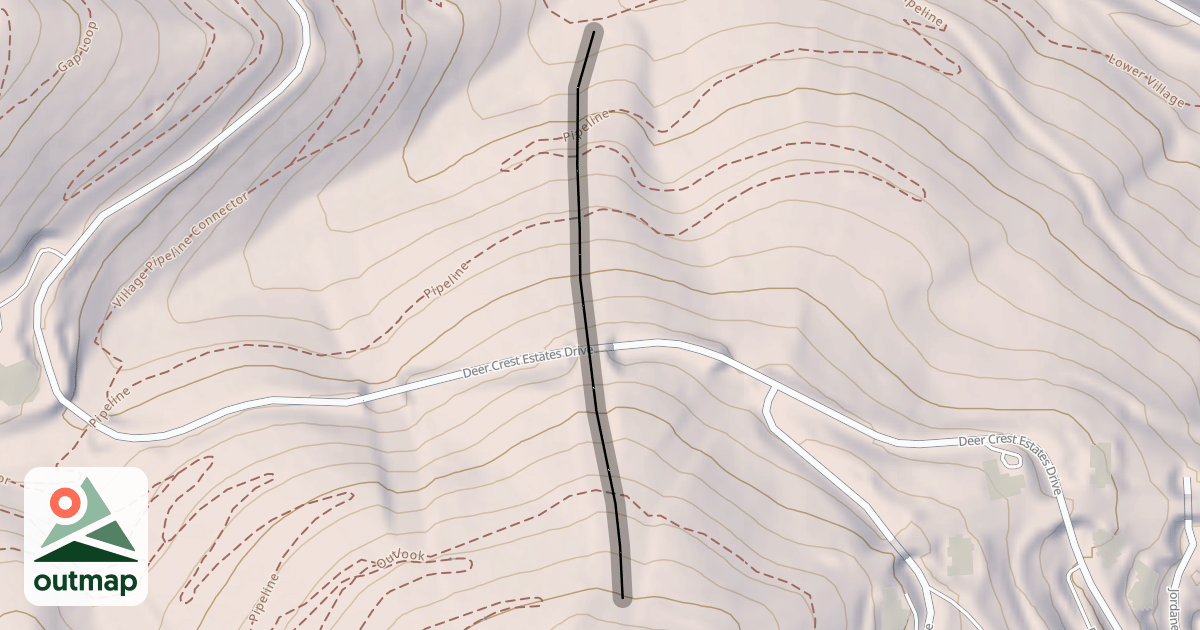 Map of Dynamic