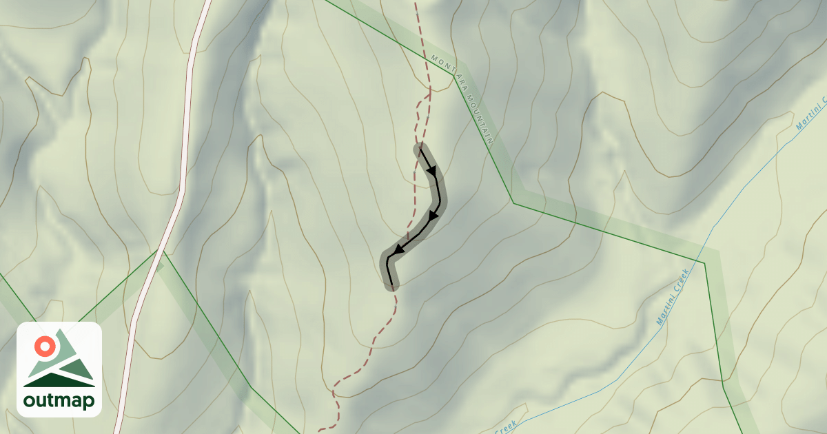 Map of Lower Fly Amanita - B-Line