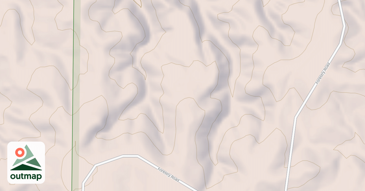 Map of USFS National Forest System Roads {E07031A8-A84B-4025-A668-63DF3292BA04}
