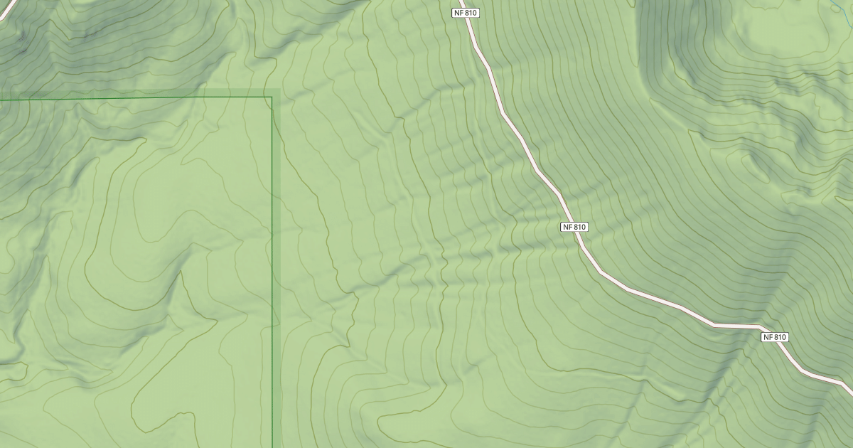 Map preview of USFS National Forest System Roads {55941E3B-D2E8-4BA9-85E8-1371A25F866E}