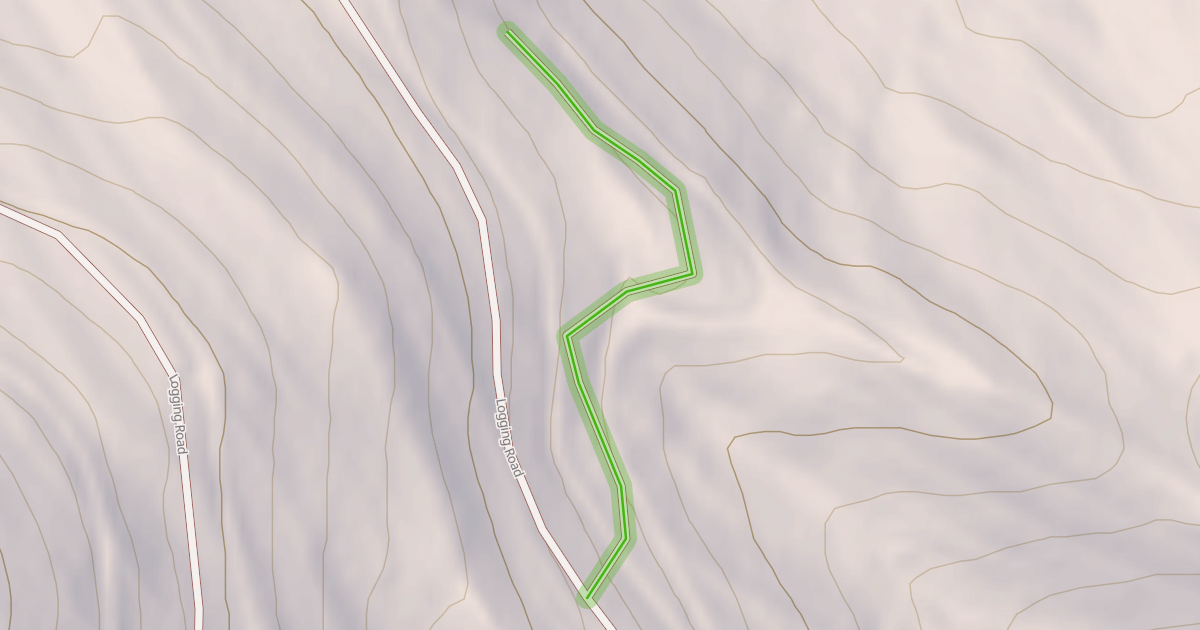 Map preview of Logging Road