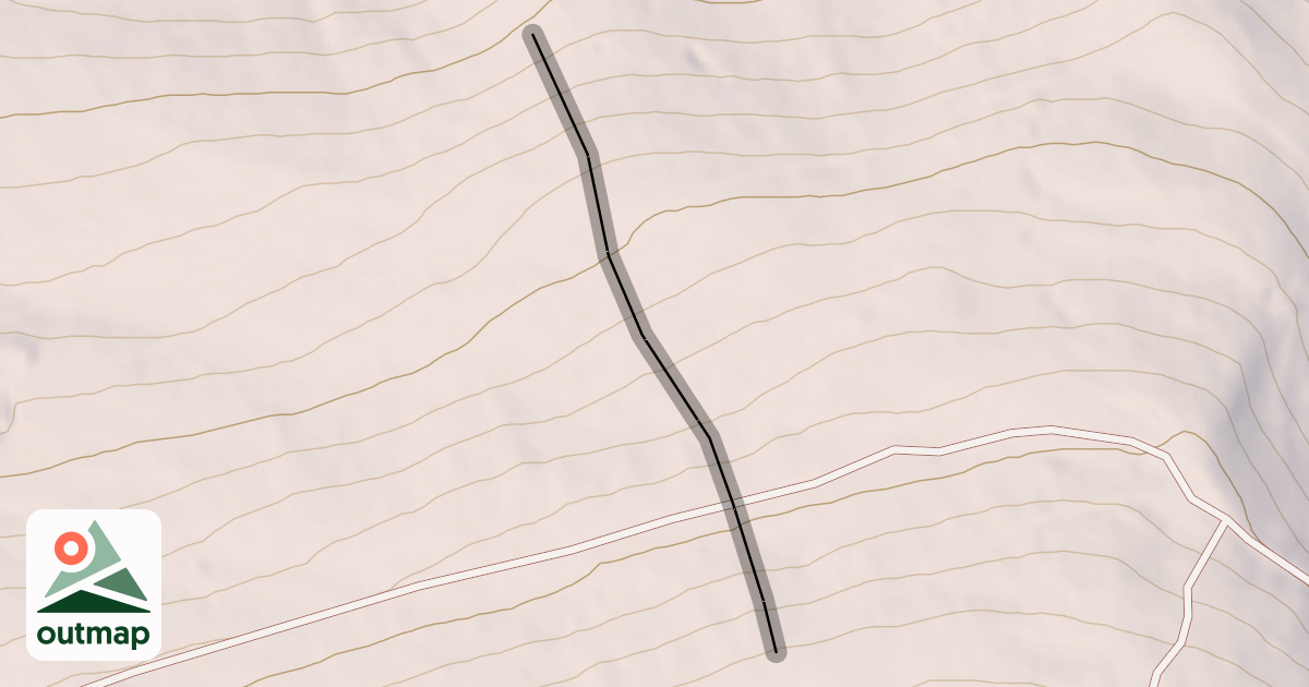 Map of Missing Lynx