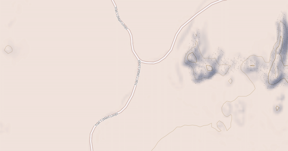 Map preview of BLM National GTLF Public Motorized Roads 21707c19-a300-4359-ae8d-6960b764b0b4