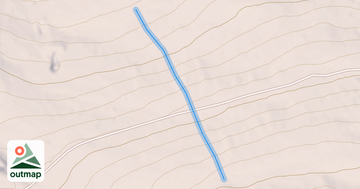 Map of Quick Draw