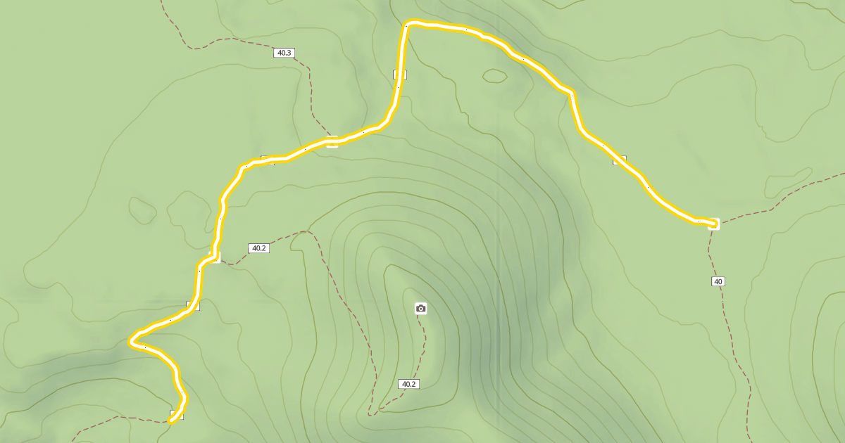 Map preview of Swampy-Dutchman Trail #40