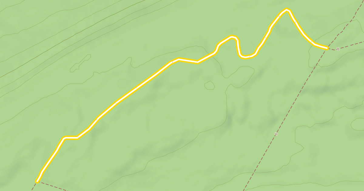 Map preview of 6