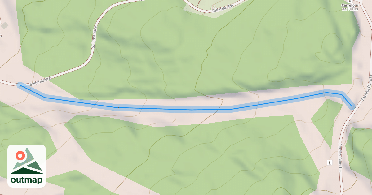 Map of Coq
