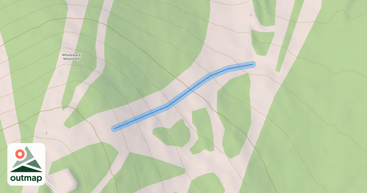Map of Bouganvillea