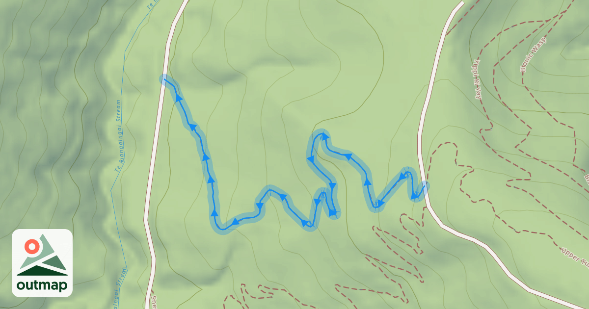 Map of Lower Tunnel Vision