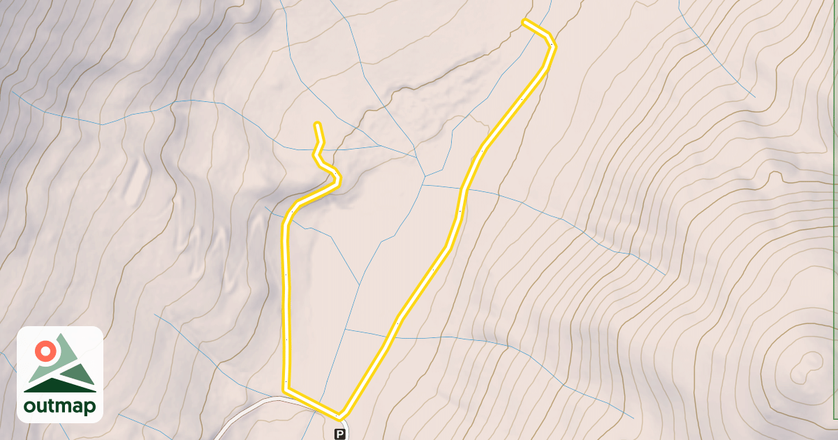 Map of Lynn's