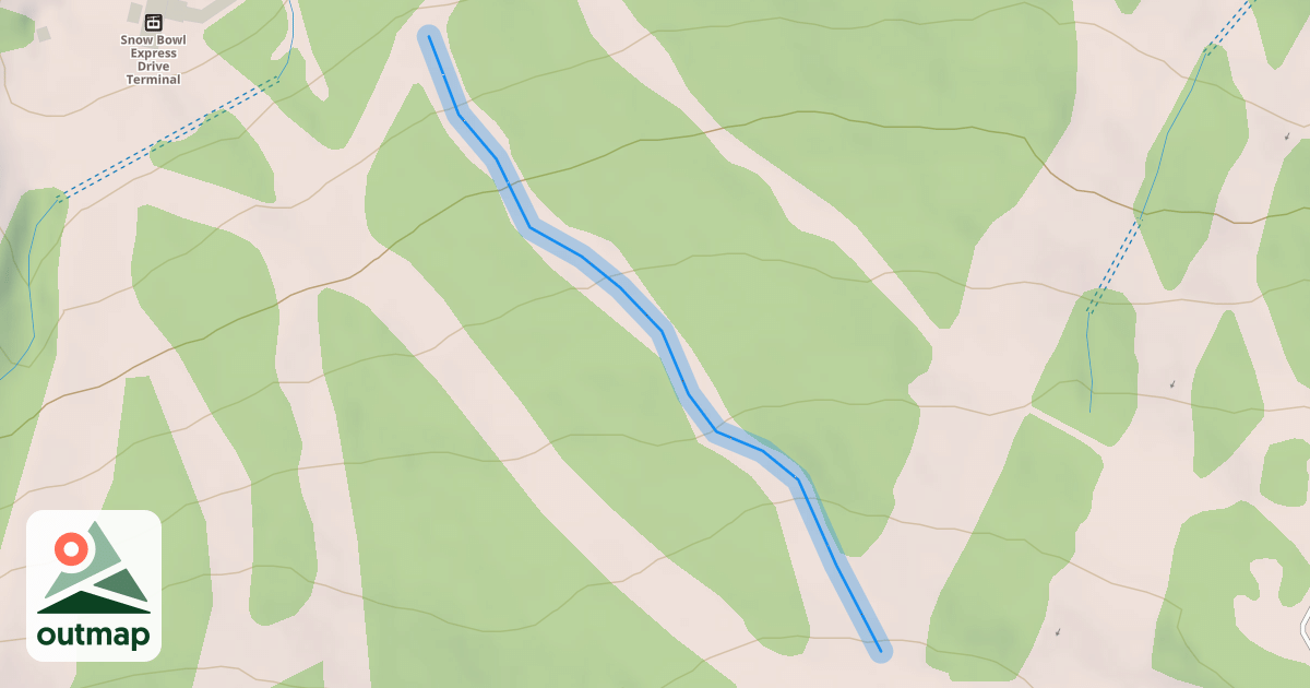 Map of White Birch