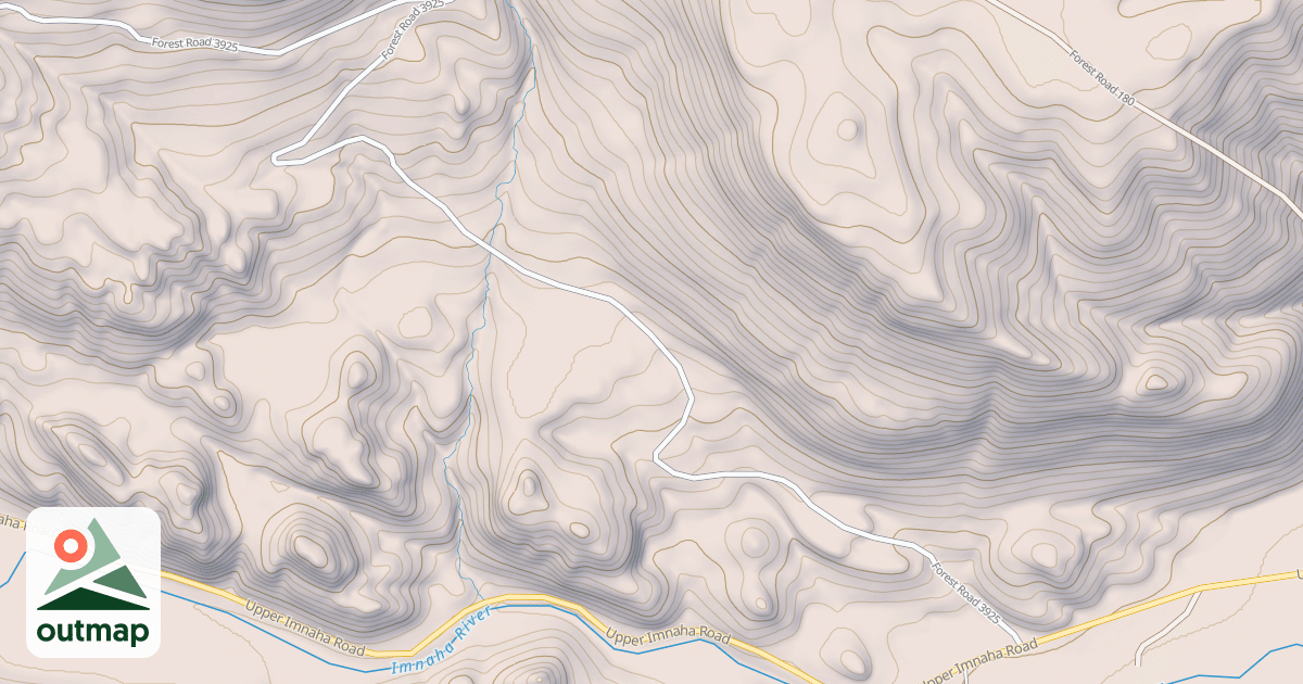 Map of USFS National Forest System Roads {1DF00031-882B-43F2-A3AE-030871A0B0F1}