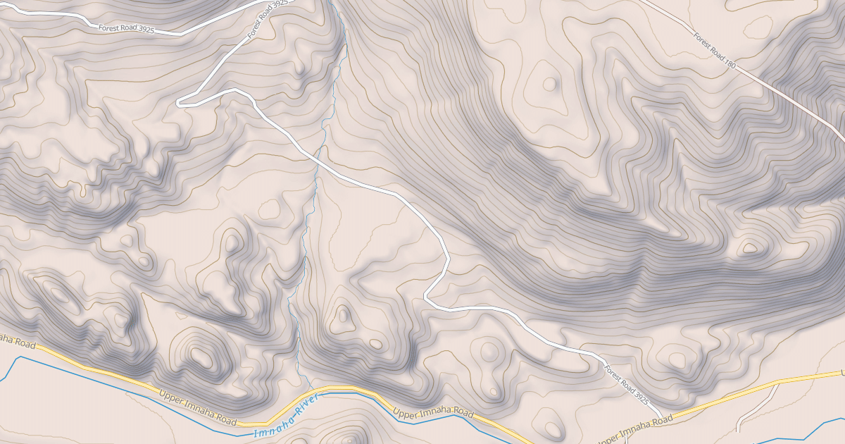 Map preview of USFS National Forest System Roads {1DF00031-882B-43F2-A3AE-030871A0B0F1}